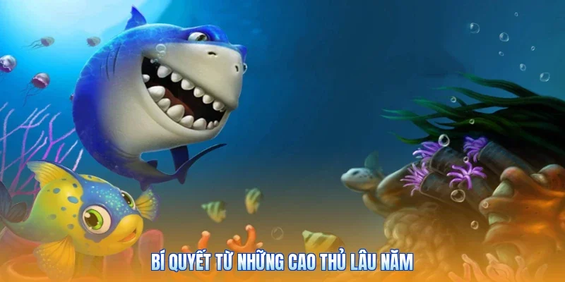 Bí quyết từ những cao thủ lâu năm