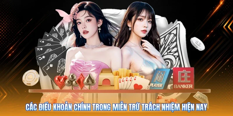 Các điều khoản chính trong miễn trừ trách nhiệm hiện nay